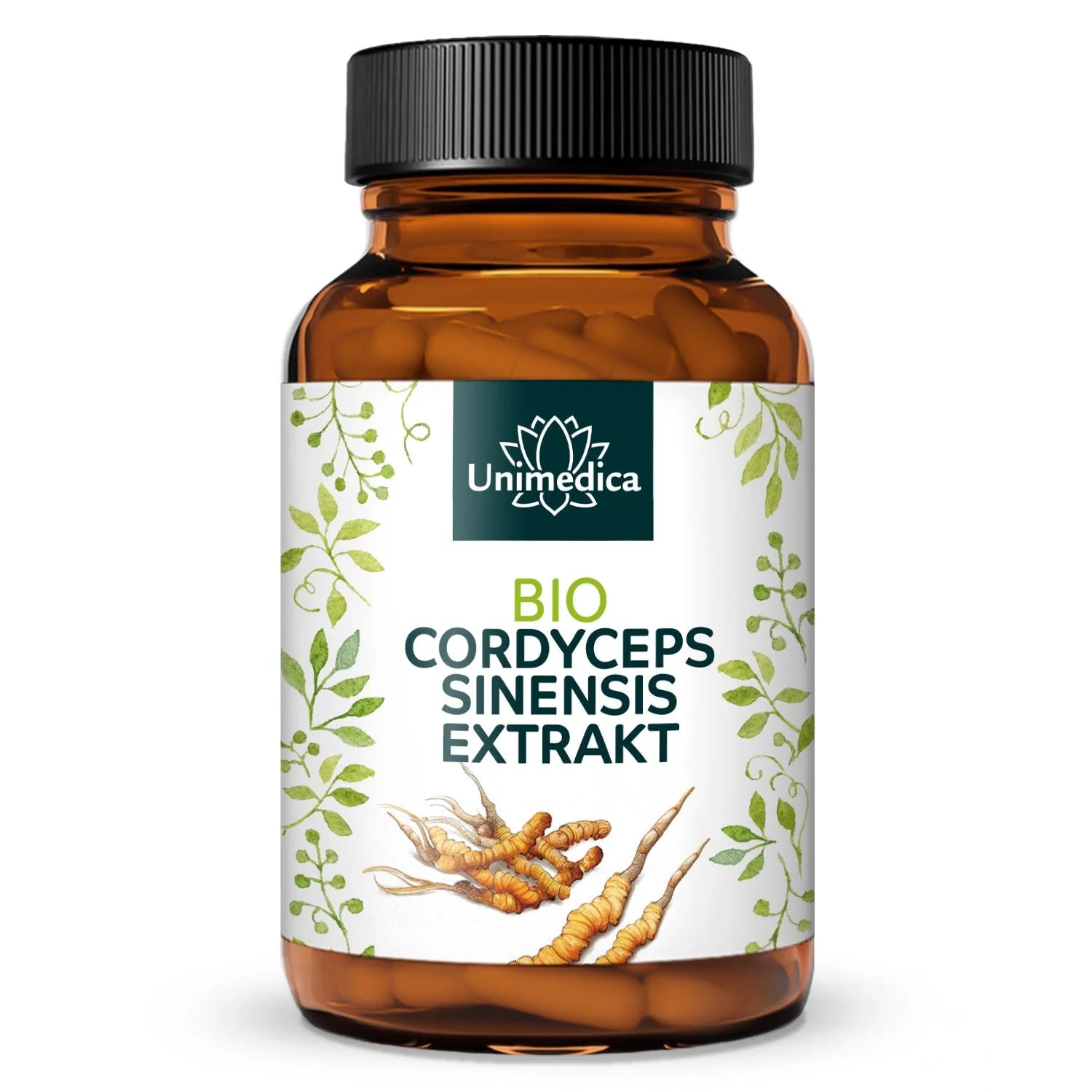 Cordyceps Extract