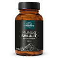 Mumijo Shilajit